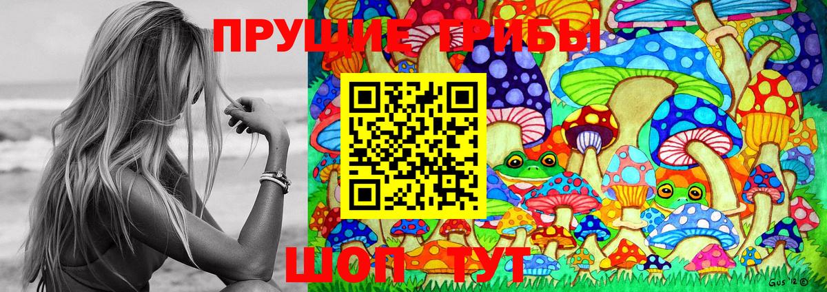 Галлюциногенные грибы Magic Shrooms Бутурлиновка